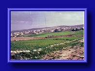 Thumbnail Fields surrounding Bethlehem